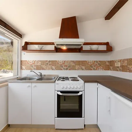 Tulipa By Briskva * موتشينيسي