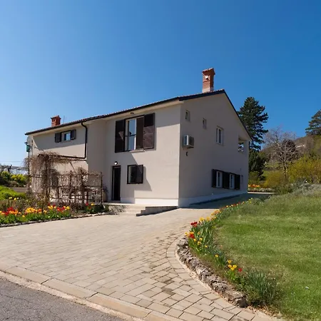 فيلة Tulipa By Briskva *