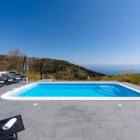 فيلة Tulipa By Briskva موتشينيسي