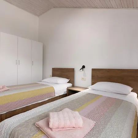 Tulipa By Briskva موتشينيسي