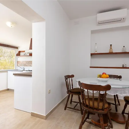 Tulipa By Briskva موتشينيسي