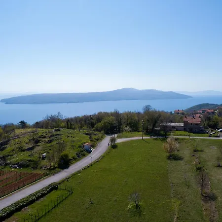 Tulipa By Briskva موتشينيسي